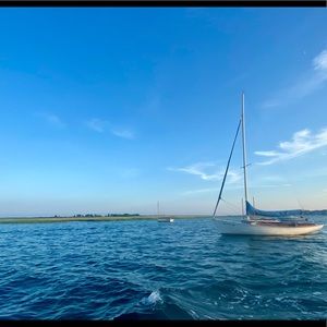 Meet your Posher, Maeve